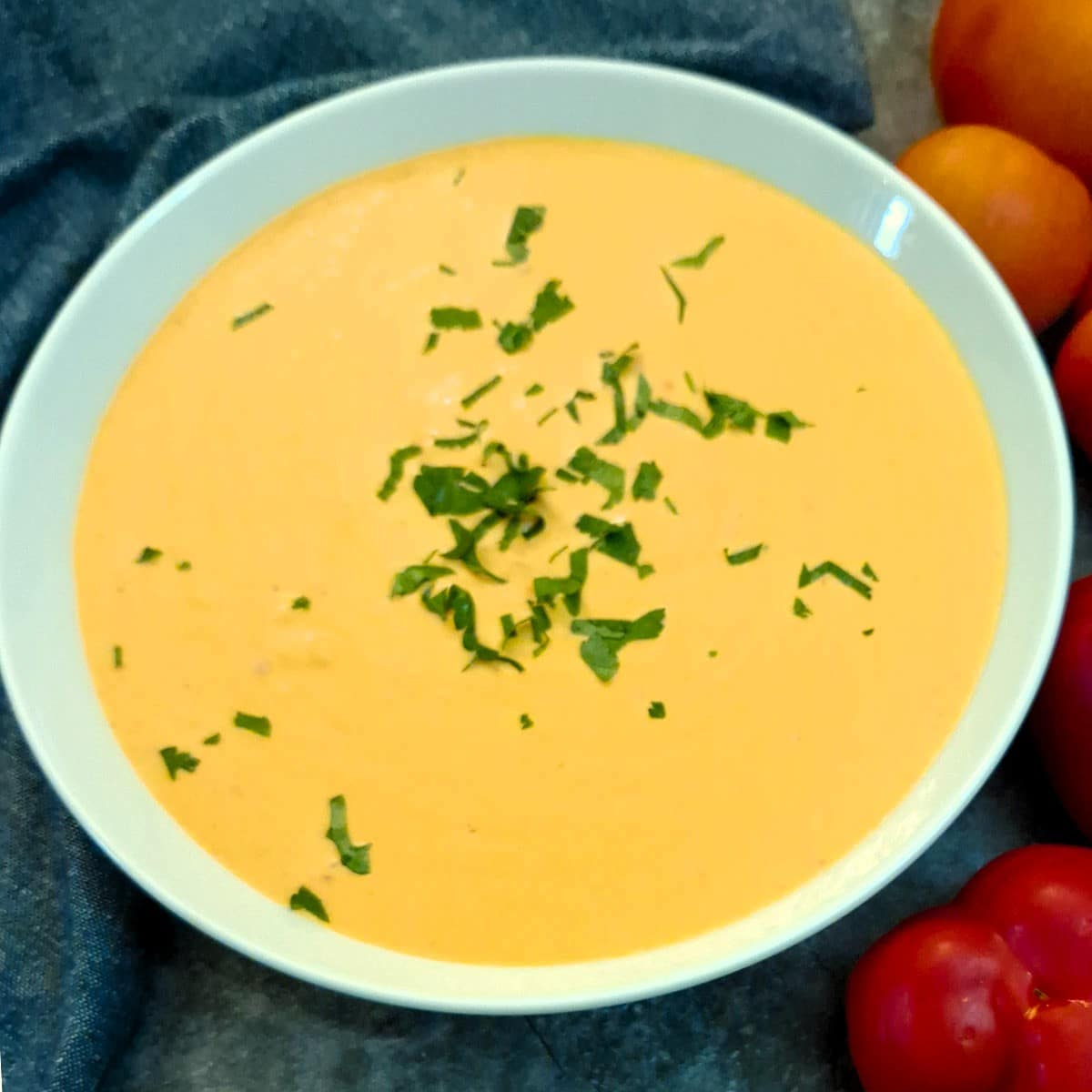 Close up of a dish of capsicum and tomato sauce.