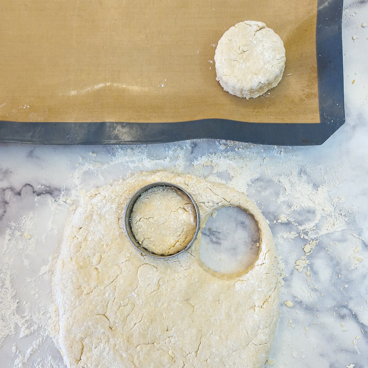 Cheese scones being cut out of flattened pastry with scone cutters.