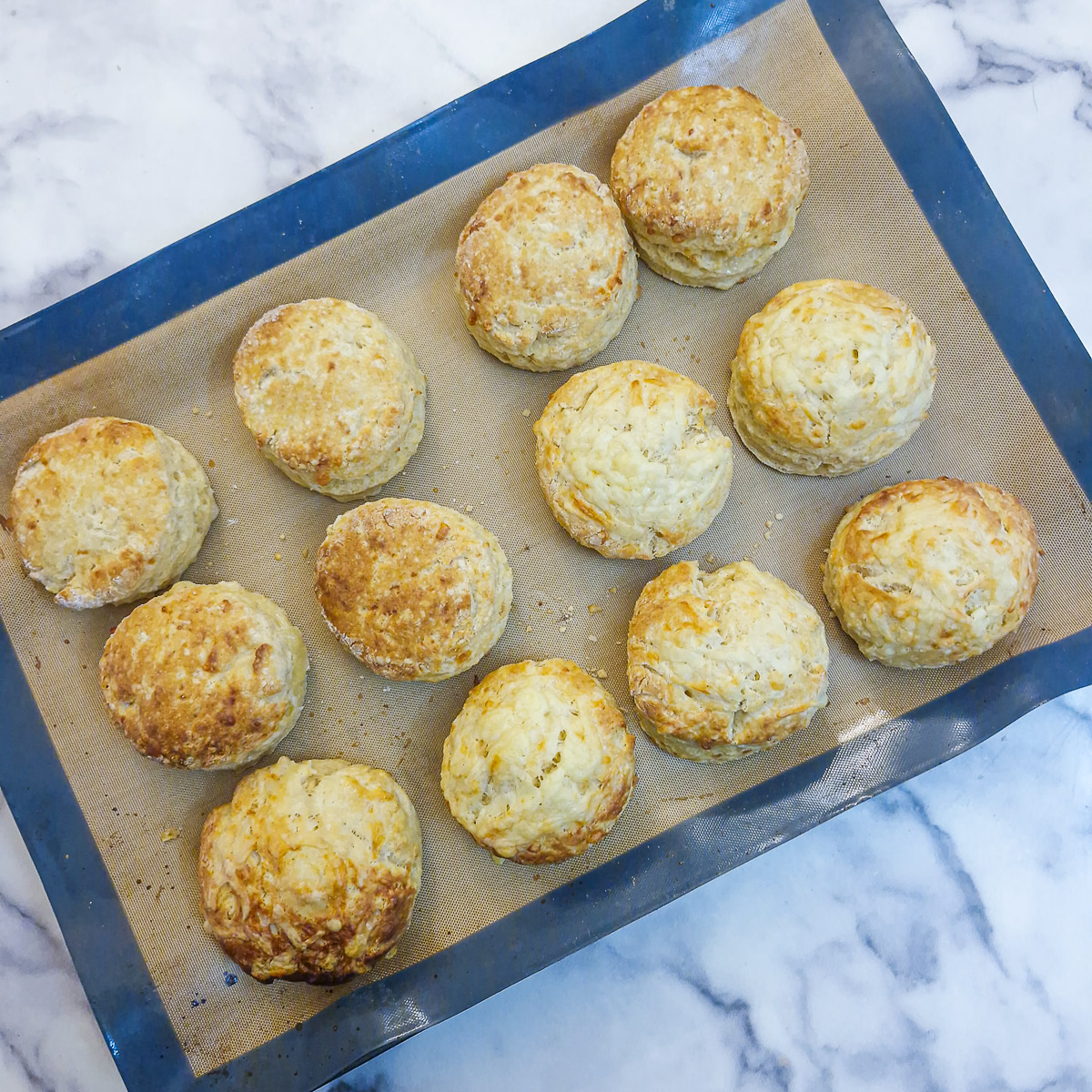 Baked cheese scones on a baking tray. The tops of the scones are covered in golden melted cheese.